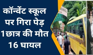 कॉन्वेंट स्कूल में गिरा पीपल का पेड़, एक बच्चे की मौत, कई घायल देखे पूरी खबर
