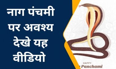 नागपंचमी पर विशेष देखे  वीडियो खबर