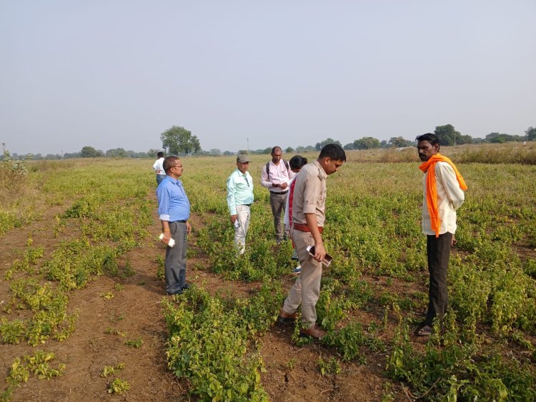 राजस्व विभाग ने फॉरेस्ट को रेवेन्यू की जमीन हैण्डोवर की।  अतिक्रमण वाली भूमि लेने से कतरा रहा वन विभाग