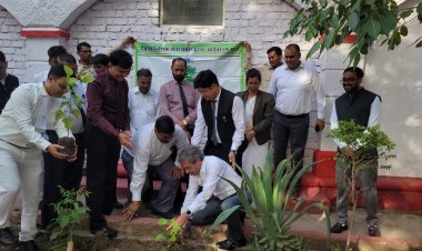 विश्व पर्यावरण दिवस पर जिला न्यायालय परिसर में "सिंदूर" का पौधा रोपकर दिया पर्यावरण संरक्षण का संदेश