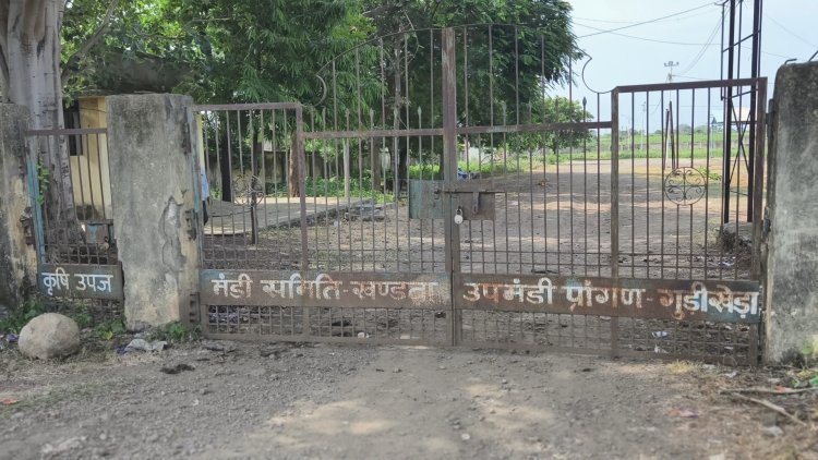 उप कृषि उपज मंडी गुड़ी खेड़ा की बदहाली — विधायक छाया मोरे के औचक निरीक्षण में उजागर हुई असलियत